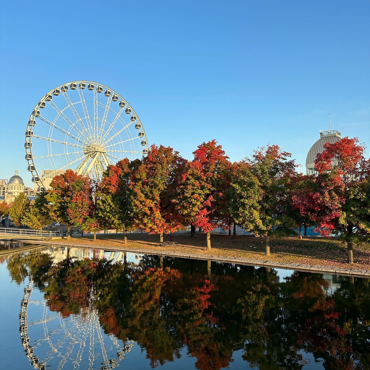 Key takeaways from RAPS Convergence Montreal