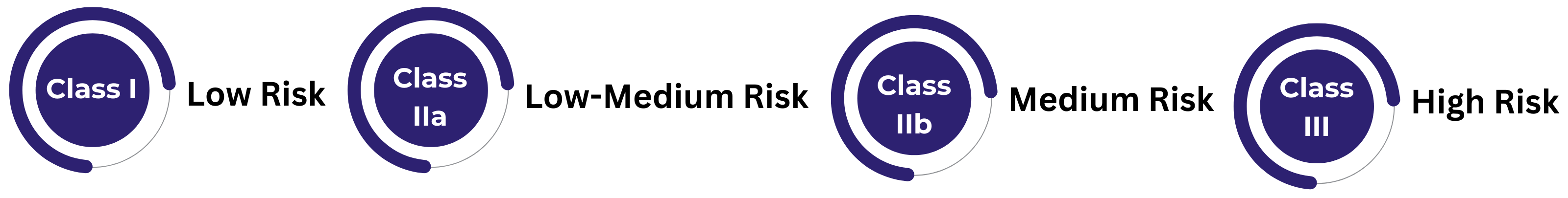 Medical Device Registration in Egypt regarding types of risk classification.