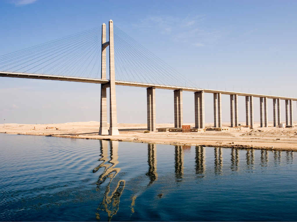 Egypt Registration Holder for Medical Devices and IVDs