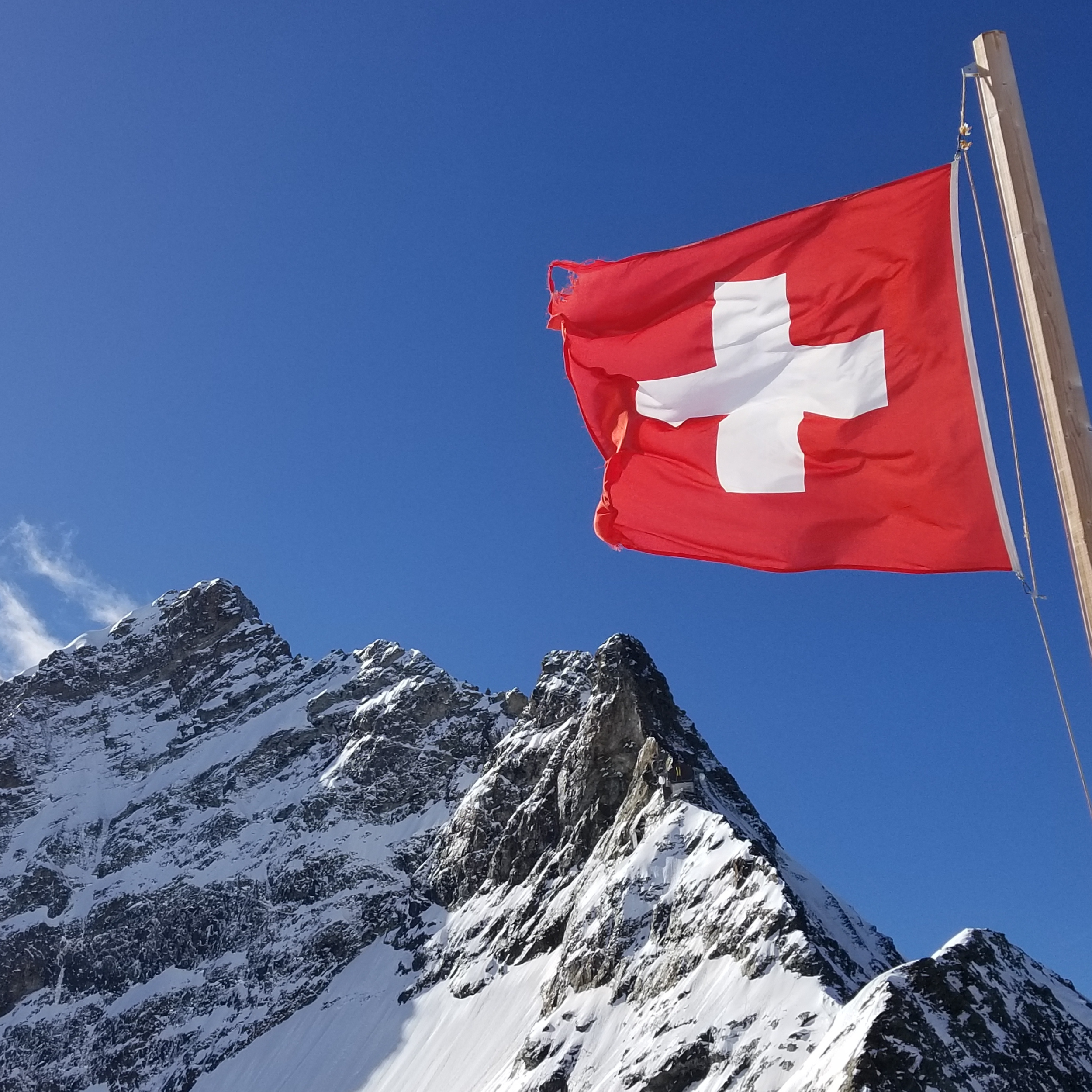 Navigate Swissmedic System Procedure Pack rules with ease and uncover essential steps to stay compliant.